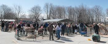 Sunderland Maple Syrup Festival