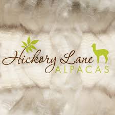Hickory Lane Alpacas