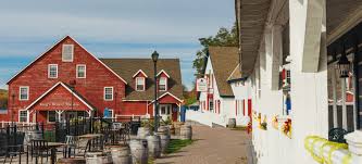 Discovery Harbour