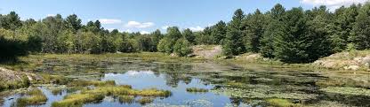 Queen Elizabeth II Wildlands Provincial Park