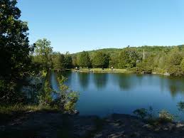 Proctor Park Conservation Area