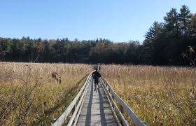 Jones Creek Trails