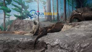 Aquatarium at Tall Ships Landing