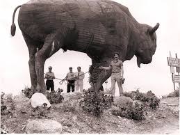 Earl the Bison