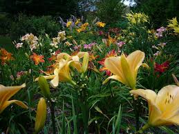 Earth Bound Gardens
