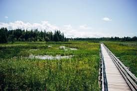 HR Frink Conservation Area