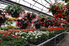 Anna’s Garden Home & Wellness