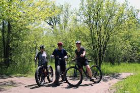 Harold Town Conservation Area Trails