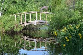 Adcock’s Woodland Gardens